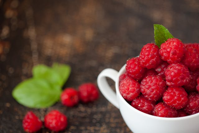 Ventajas de la liofilización en alimentos: Conservación y sabor